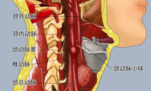 尿痛的原因-怎样缓解尿频尿急尿痛的症状专区_尿痛的症状及治疗方法专区_尿痛的症状网